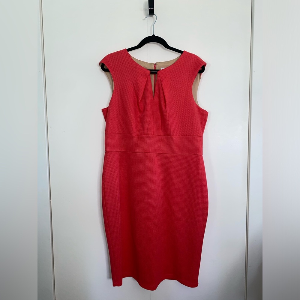 DR Collection Salmon-Colored Dress with Gold Accents Size 16